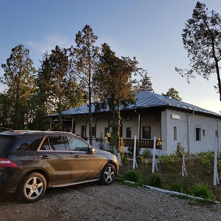 Conacul Balta Alba Hotell Eksteriør bilde